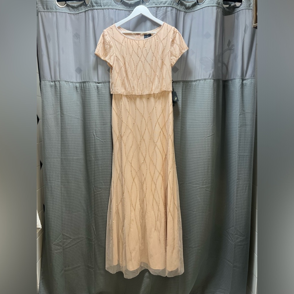 Adrianna Papell Blush Pink Gown - Picture 7 of 15